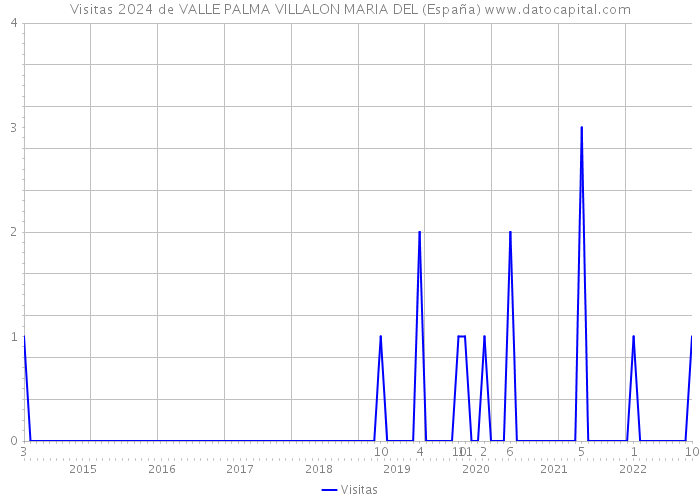 Visitas 2024 de VALLE PALMA VILLALON MARIA DEL (España) 