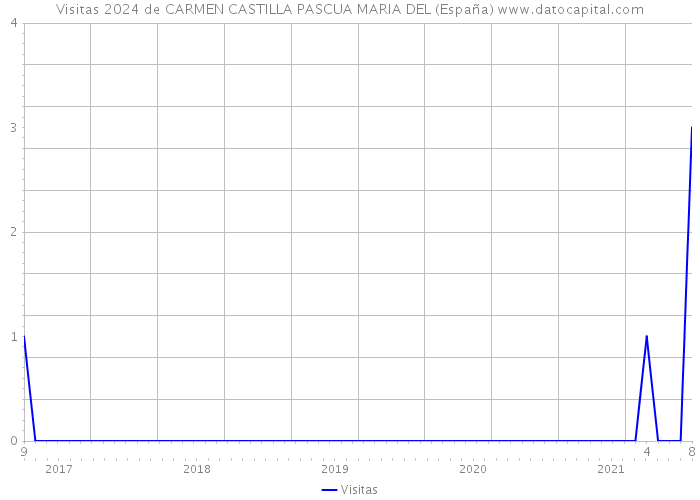 Visitas 2024 de CARMEN CASTILLA PASCUA MARIA DEL (España) 
