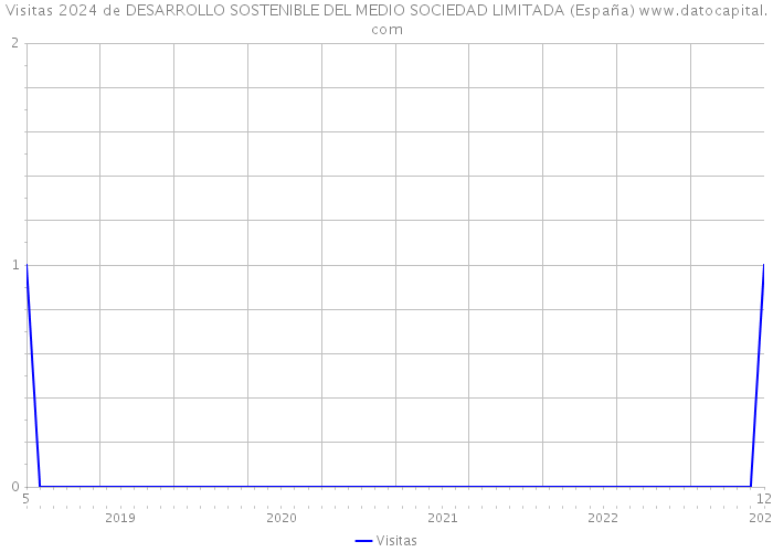 Visitas 2024 de DESARROLLO SOSTENIBLE DEL MEDIO SOCIEDAD LIMITADA (España) 