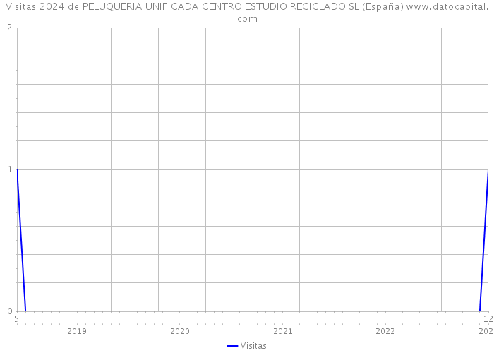Visitas 2024 de PELUQUERIA UNIFICADA CENTRO ESTUDIO RECICLADO SL (España) 