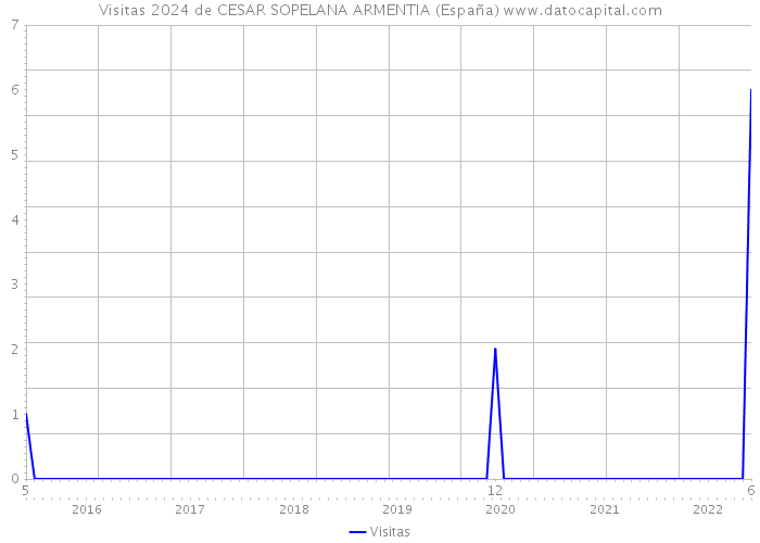 Visitas 2024 de CESAR SOPELANA ARMENTIA (España) 