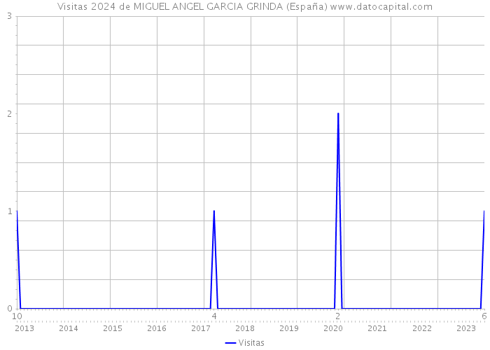 Visitas 2024 de MIGUEL ANGEL GARCIA GRINDA (España) 