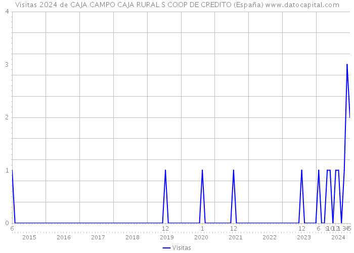 Visitas 2024 de CAJA CAMPO CAJA RURAL S COOP DE CREDITO (España) 