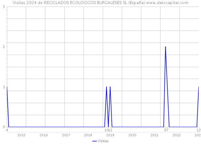 Visitas 2024 de RECICLADOS ECOLOGICOS BURGALESES SL (España) 