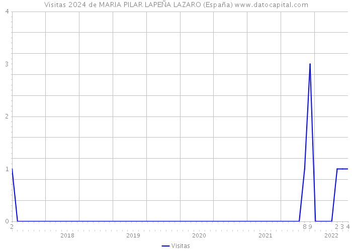 Visitas 2024 de MARIA PILAR LAPEÑA LAZARO (España) 