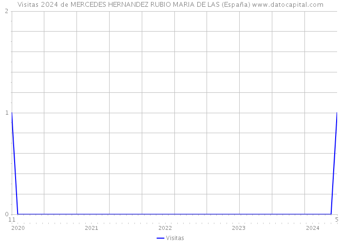 Visitas 2024 de MERCEDES HERNANDEZ RUBIO MARIA DE LAS (España) 