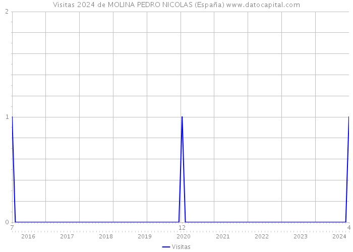 Visitas 2024 de MOLINA PEDRO NICOLAS (España) 