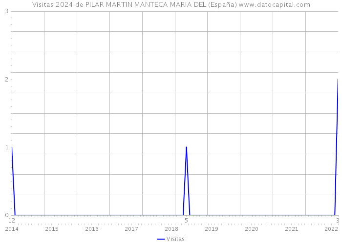 Visitas 2024 de PILAR MARTIN MANTECA MARIA DEL (España) 