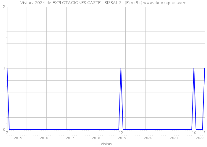 Visitas 2024 de EXPLOTACIONES CASTELLBISBAL SL (España) 