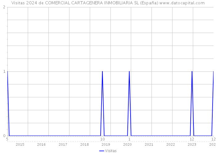 Visitas 2024 de COMERCIAL CARTAGENERA INMOBILIARIA SL (España) 