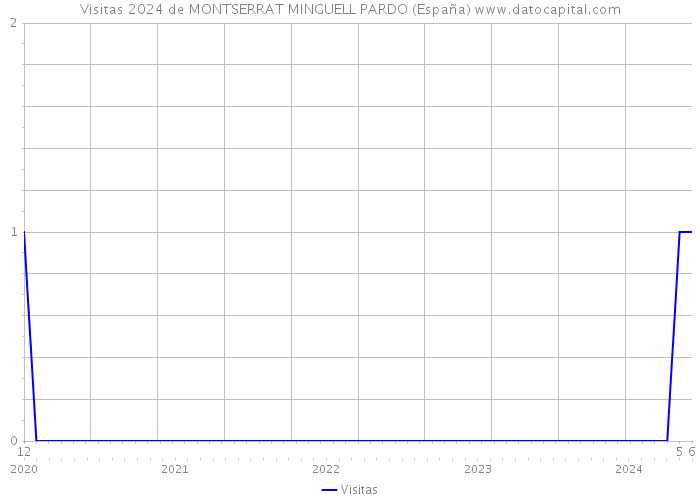 Visitas 2024 de MONTSERRAT MINGUELL PARDO (España) 