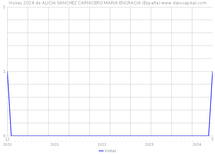 Visitas 2024 de ALICIA SANCHEZ CARNICERO MARIA ENGRACIA (España) 