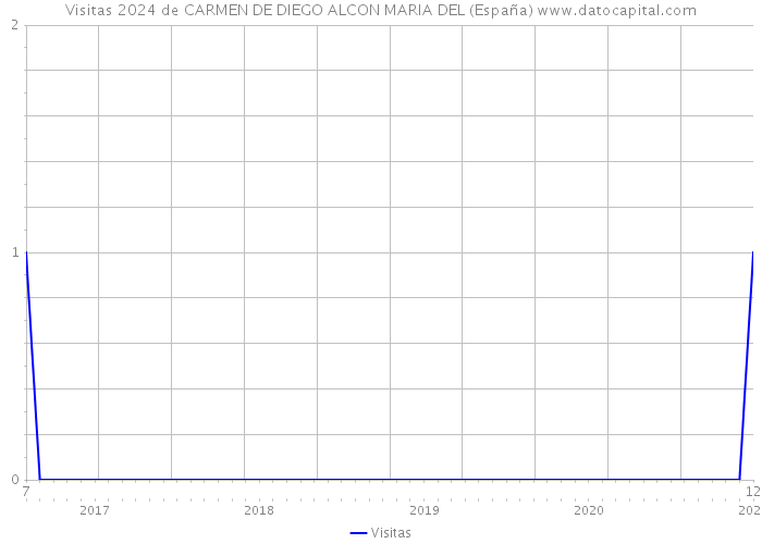 Visitas 2024 de CARMEN DE DIEGO ALCON MARIA DEL (España) 