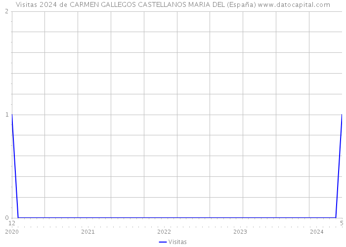 Visitas 2024 de CARMEN GALLEGOS CASTELLANOS MARIA DEL (España) 