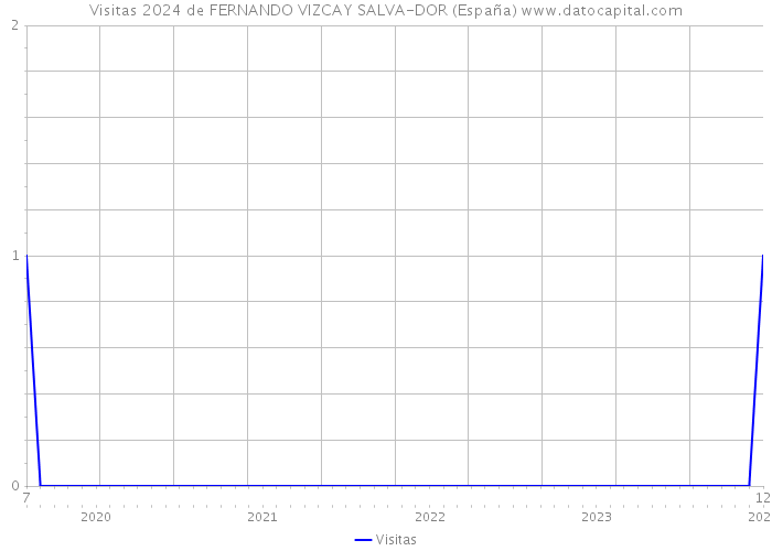 Visitas 2024 de FERNANDO VIZCAY SALVA-DOR (España) 