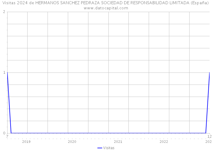 Visitas 2024 de HERMANOS SANCHEZ PEDRAZA SOCIEDAD DE RESPONSABILIDAD LIMITADA (España) 