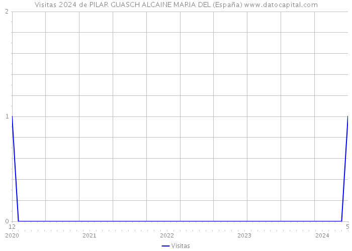Visitas 2024 de PILAR GUASCH ALCAINE MARIA DEL (España) 