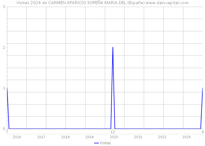 Visitas 2024 de CARMEN APARICIO SOPEÑA MARIA DEL (España) 