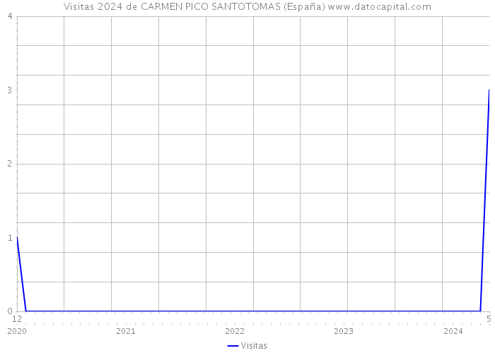 Visitas 2024 de CARMEN PICO SANTOTOMAS (España) 