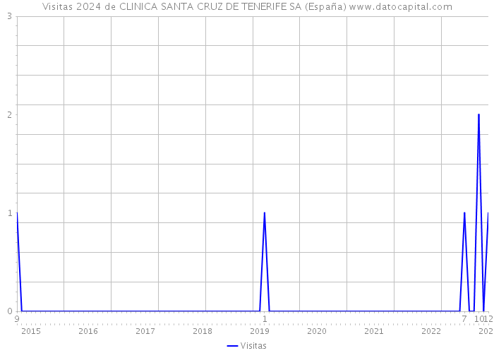 Visitas 2024 de CLINICA SANTA CRUZ DE TENERIFE SA (España) 
