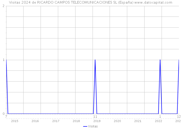 Visitas 2024 de RICARDO CAMPOS TELECOMUNICACIONES SL (España) 
