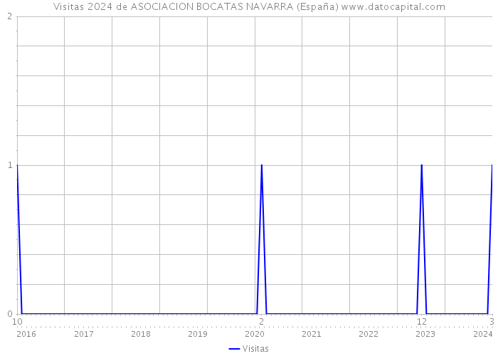 Visitas 2024 de ASOCIACION BOCATAS NAVARRA (España) 