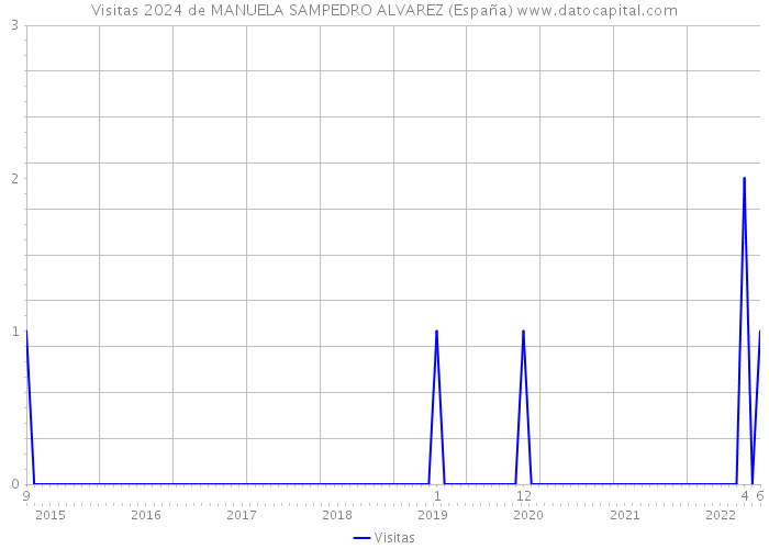 Visitas 2024 de MANUELA SAMPEDRO ALVAREZ (España) 