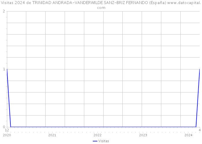 Visitas 2024 de TRINIDAD ANDRADA-VANDERWILDE SANZ-BRIZ FERNANDO (España) 