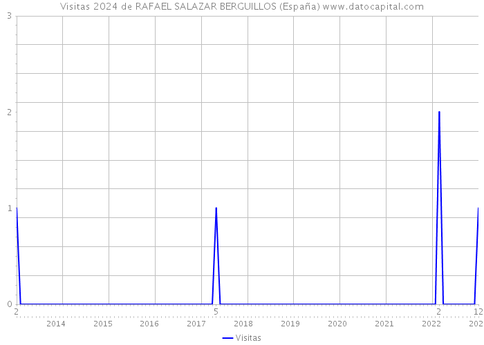 Visitas 2024 de RAFAEL SALAZAR BERGUILLOS (España) 