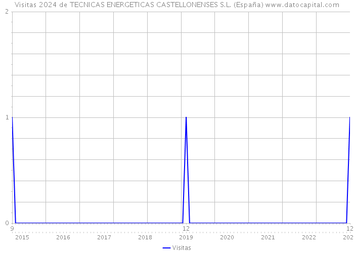 Visitas 2024 de TECNICAS ENERGETICAS CASTELLONENSES S.L. (España) 