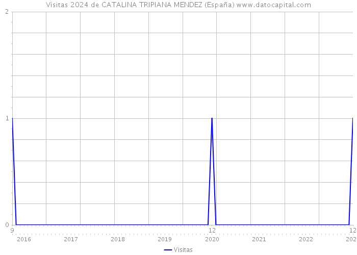 Visitas 2024 de CATALINA TRIPIANA MENDEZ (España) 