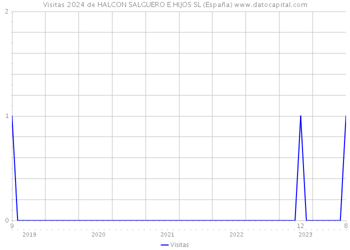Visitas 2024 de HALCON SALGUERO E HIJOS SL (España) 