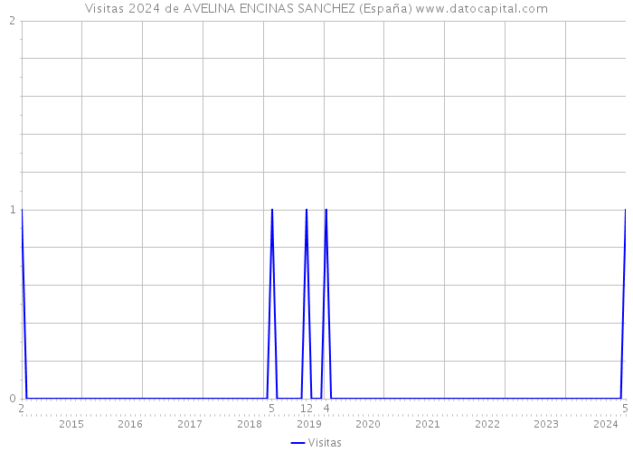 Visitas 2024 de AVELINA ENCINAS SANCHEZ (España) 