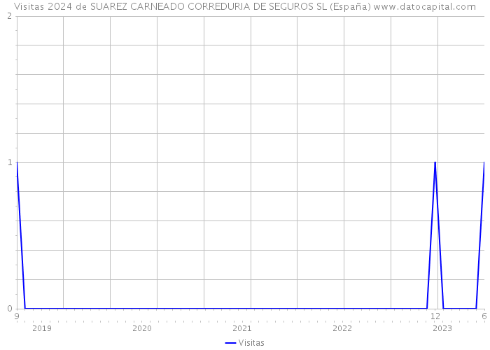 Visitas 2024 de SUAREZ CARNEADO CORREDURIA DE SEGUROS SL (España) 