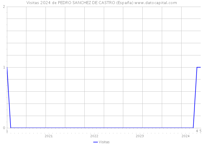 Visitas 2024 de PEDRO SANCHEZ DE CASTRO (España) 