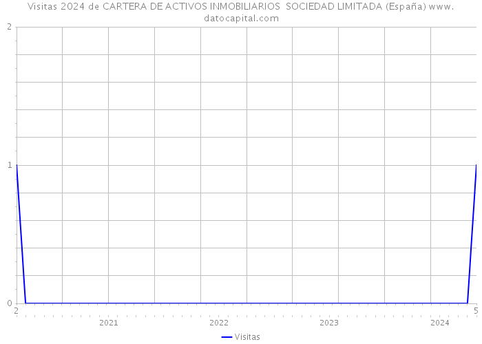 Visitas 2024 de CARTERA DE ACTIVOS INMOBILIARIOS SOCIEDAD LIMITADA (España) 