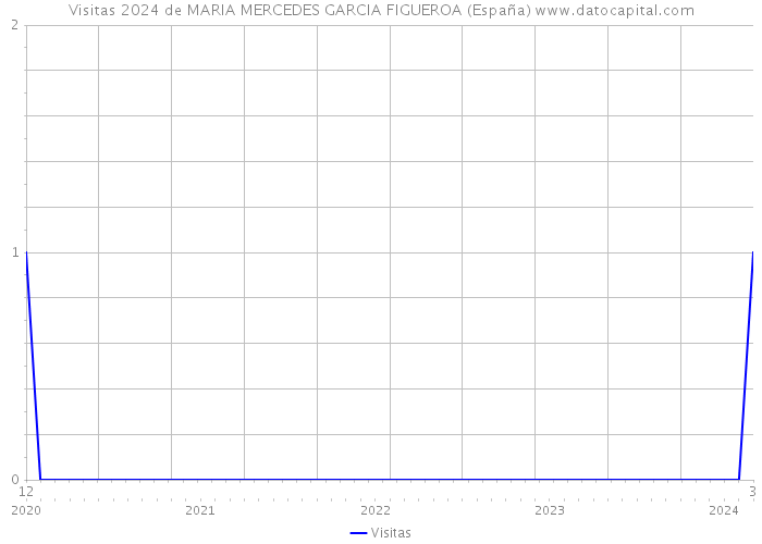 Visitas 2024 de MARIA MERCEDES GARCIA FIGUEROA (España) 