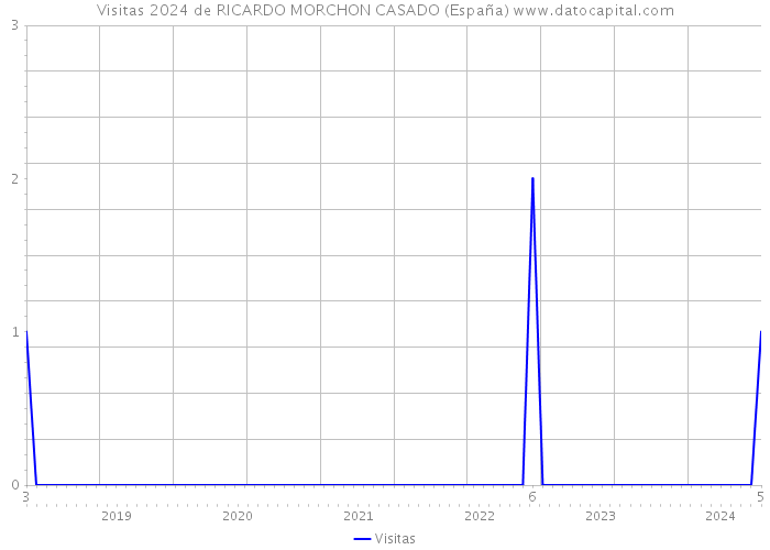 Visitas 2024 de RICARDO MORCHON CASADO (España) 