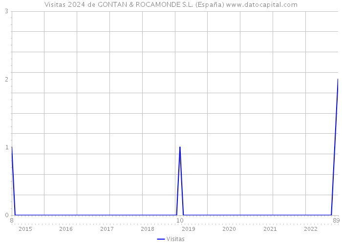 Visitas 2024 de GONTAN & ROCAMONDE S.L. (España) 