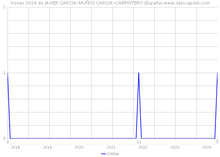 Visitas 2024 de JAVIER GARCIA-MUÑOZ GARCIA-CARPINTERO (España) 