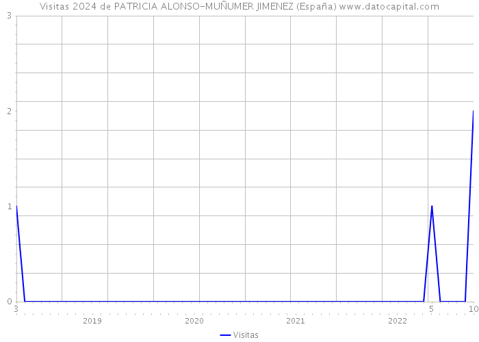 Visitas 2024 de PATRICIA ALONSO-MUÑUMER JIMENEZ (España) 