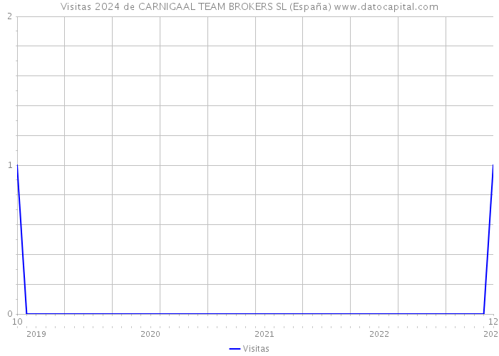 Visitas 2024 de CARNIGAAL TEAM BROKERS SL (España) 