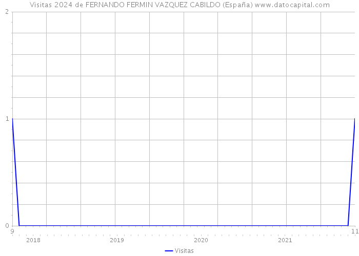 Visitas 2024 de FERNANDO FERMIN VAZQUEZ CABILDO (España) 