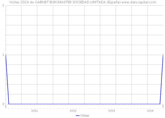 Visitas 2024 de GABINET BURGMASTER SOCIEDAD LIMITADA (España) 