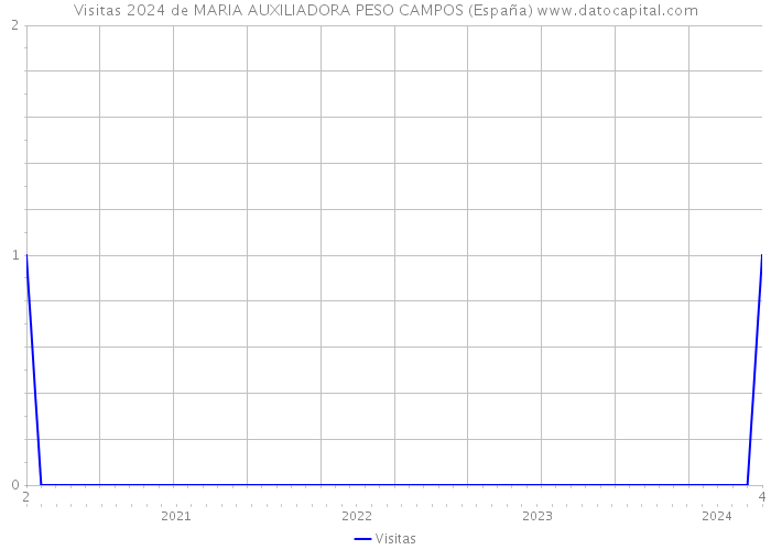 Visitas 2024 de MARIA AUXILIADORA PESO CAMPOS (España) 