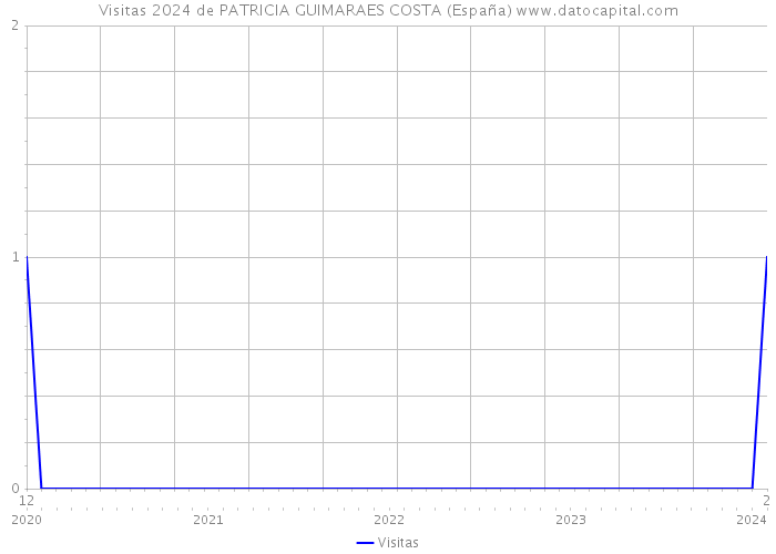Visitas 2024 de PATRICIA GUIMARAES COSTA (España) 