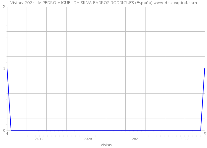 Visitas 2024 de PEDRO MIGUEL DA SILVA BARROS RODRIGUES (España) 