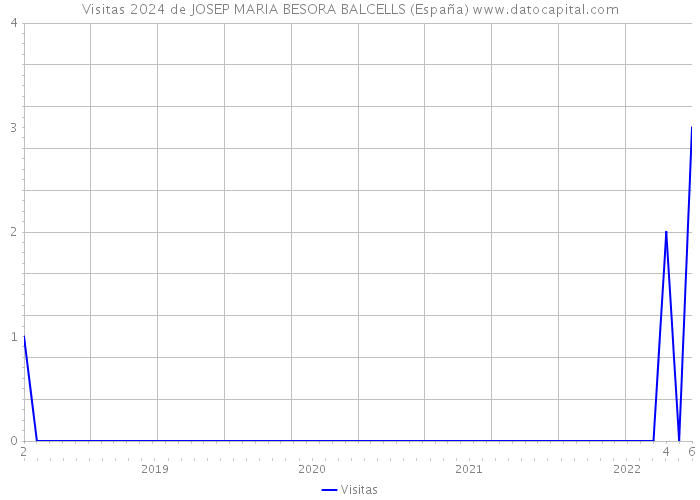 Visitas 2024 de JOSEP MARIA BESORA BALCELLS (España) 