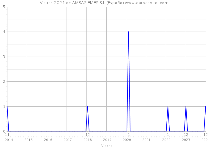 Visitas 2024 de AMBAS EMES S.L (España) 