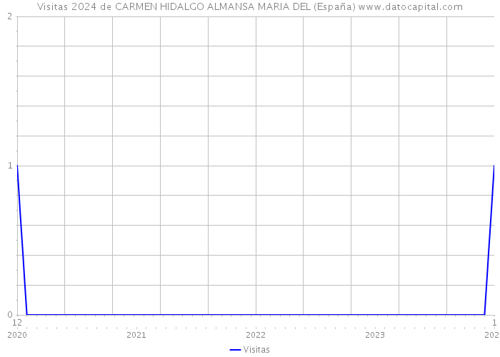 Visitas 2024 de CARMEN HIDALGO ALMANSA MARIA DEL (España) 